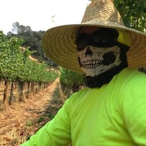 Meet your Posher, Guadalupe jorge